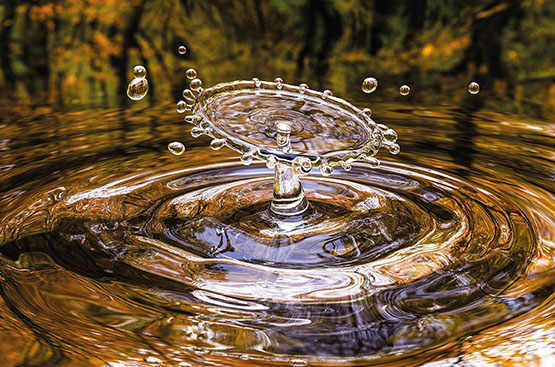 Ir a la noticia Día Mundial del Agua: Innovación y digitalización,  claves para la gestión sostenible del agua